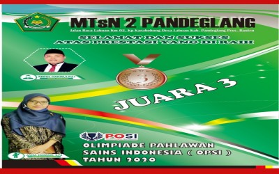 Juara Perunggu Olimpiade Pahlawan Sains Indonesia ( OPSI ) Tahun 2020